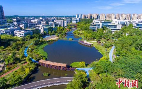 股票配资网 “游戏出海”受海南市县两会关注 各地竞逐数字经济