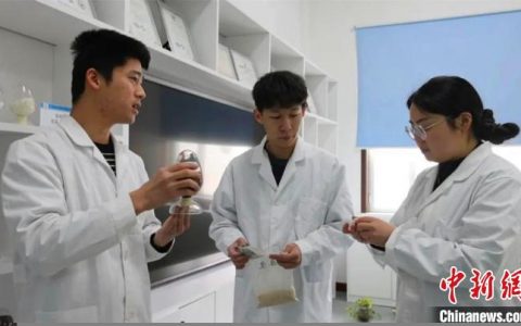 股票配资来大圣配资 “变废为宝” 新疆民企发力循环产业