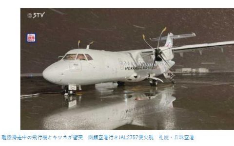 怎么股票配资 外媒：日本一客机撞上狐狸后中止起飞
