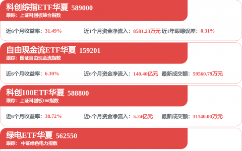 摩尔线程，大动作！