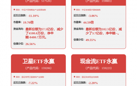 长城汽车获得外观设计专利授权：“汽车侧挂网（大狗复古版）”