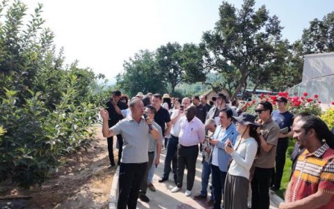 股票配资炒股 多国政党智库代表访甘宁 读懂中国减贫实践